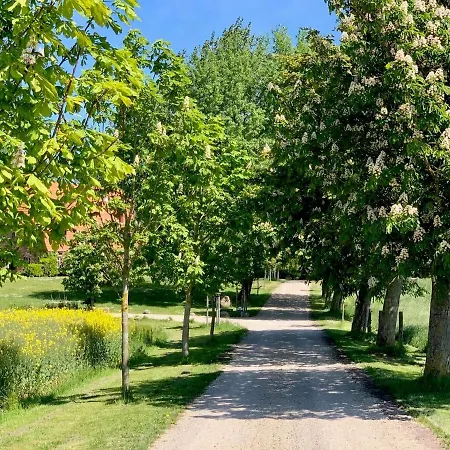 Apartman Remise Steuerrad Rechts Kappeln