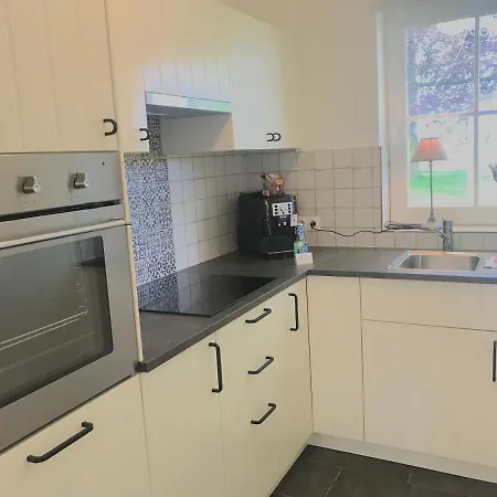 Remise Steuerrad Rechts *